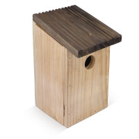 Hout